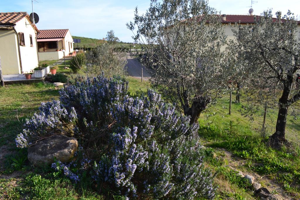 Podere dei maddii Roccastrada Esterno foto