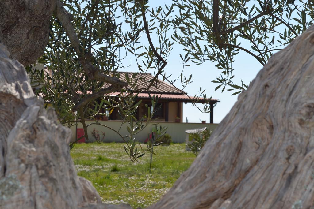 Podere dei maddii Roccastrada Esterno foto